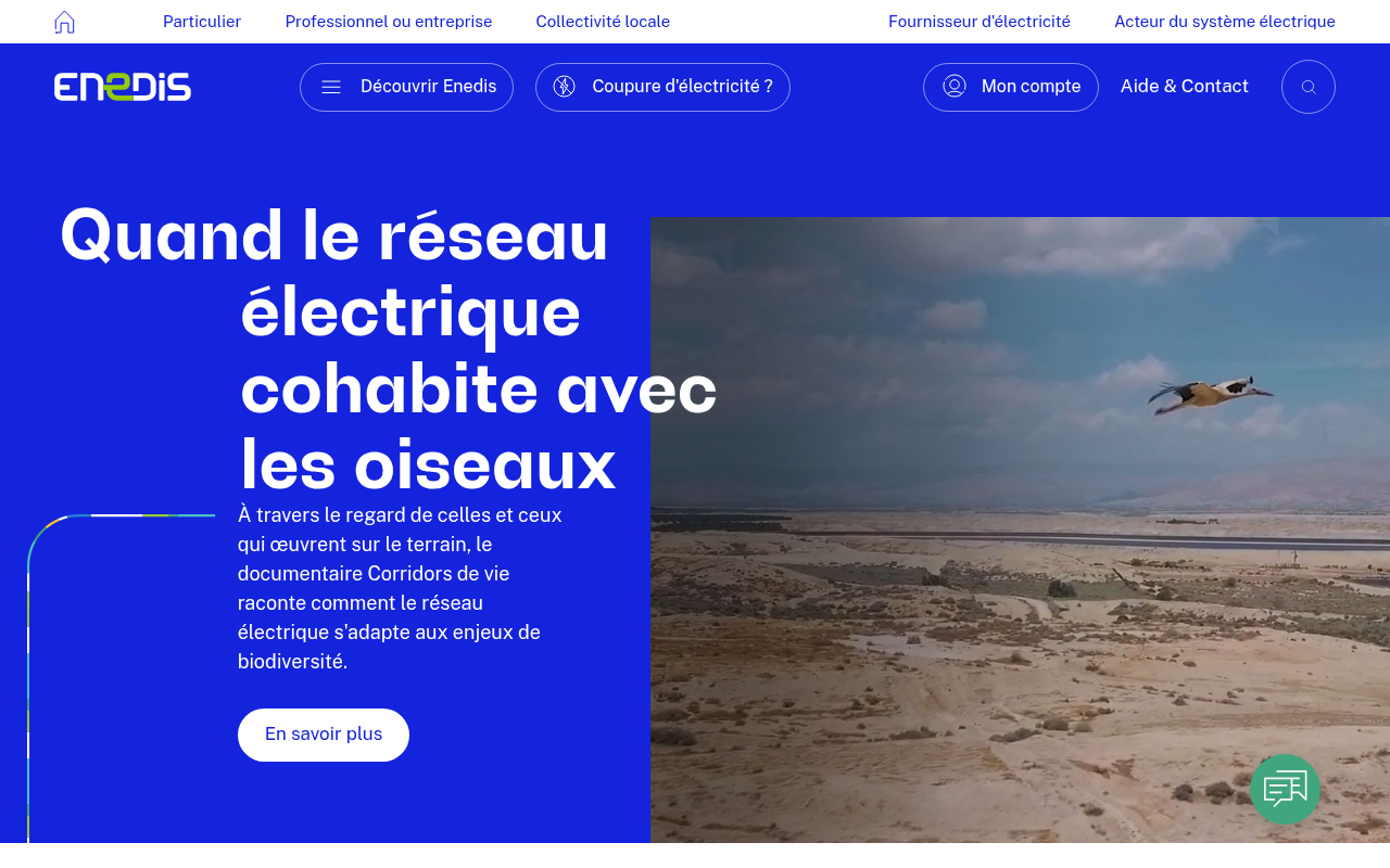 Capture d'écran de la page d'accueil de enedis.fr
